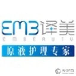 上海譯美電子商務有限責任公司 電子商務經(jīng)營的藝術(shù)與策略